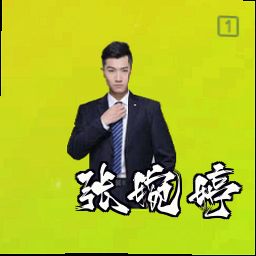 张婉婷